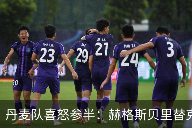 丹麦队喜怒参半：赫格斯贝里替克里斯滕森上场，伤情如同冲进禁区的意外