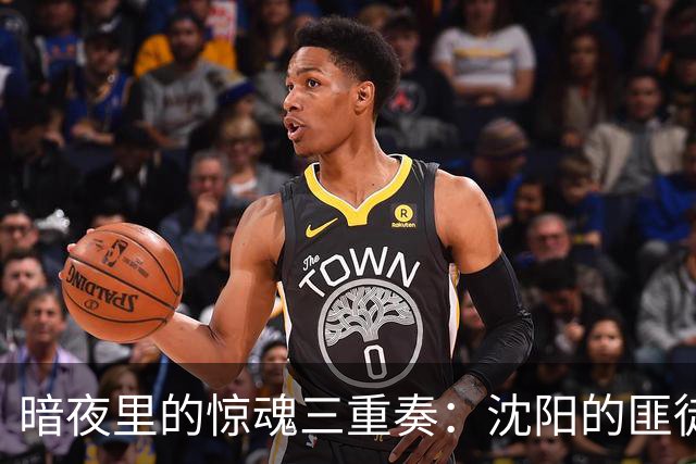 暗夜里的惊魂三重奏：沈阳的匪徒传奇